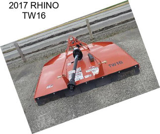 2017 RHINO TW16