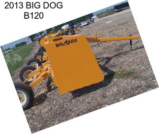 2013 BIG DOG B120