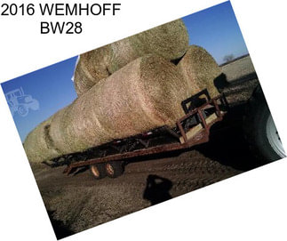 2016 WEMHOFF BW28