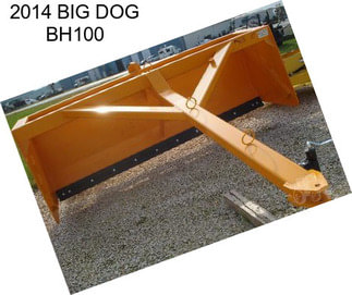 2014 BIG DOG BH100