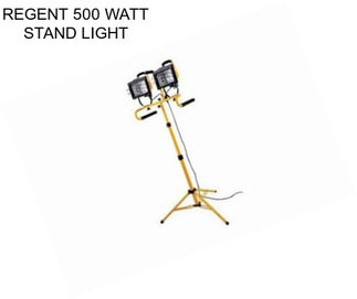 REGENT 500 WATT STAND LIGHT