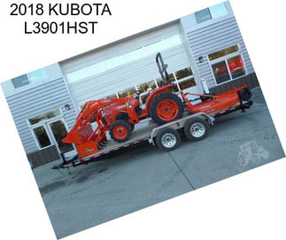 2018 KUBOTA L3901HST