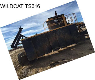 WILDCAT TS616