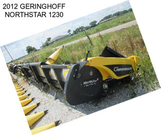 2012 GERINGHOFF NORTHSTAR 1230