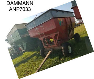 DAMMANN ANP7033