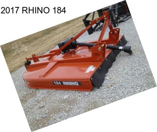 2017 RHINO 184