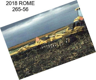 2018 ROME 265-56