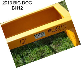 2013 BIG DOG BH12