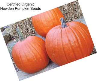 Certified Organic Howden Pumpkin Seeds