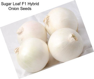 Sugar Loaf F1 Hybrid Onion Seeds