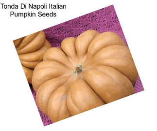 Tonda Di Napoli Italian Pumpkin Seeds