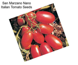 San Marzano Nano Italian Tomato Seeds