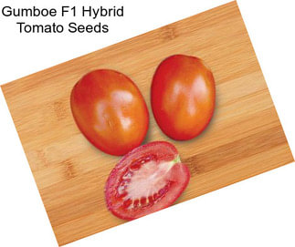 Gumboe F1 Hybrid Tomato Seeds