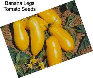 Banana Legs Tomato Seeds