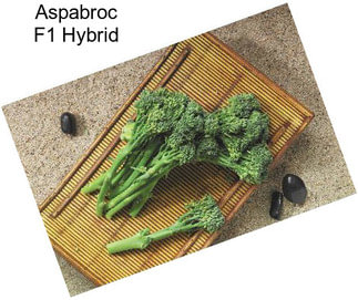 Aspabroc F1 Hybrid