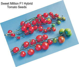 Sweet Million F1 Hybrid Tomato Seeds