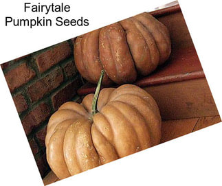 Fairytale Pumpkin Seeds