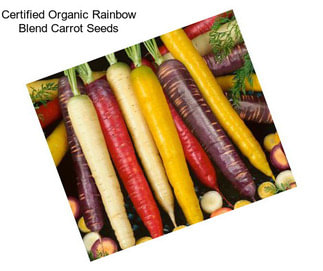 Certified Organic Rainbow Blend Carrot Seeds