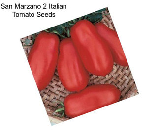 San Marzano 2 Italian Tomato Seeds
