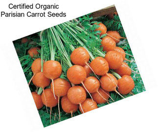 Certified Organic Parisian Carrot Seeds