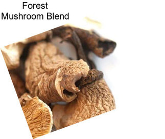 Forest Mushroom Blend