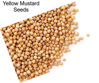 Yellow Mustard Seeds