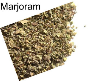 Marjoram