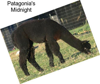 Patagonia\'s Midnight