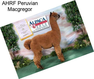 AHRF Peruvian Macgregor