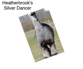 Heatherbrook\'s Silver Dancer