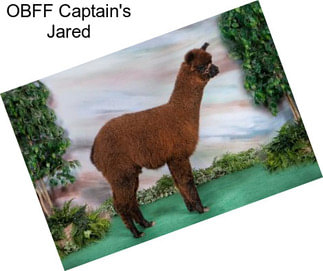 OBFF Captain\'s Jared