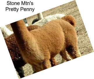 Stone Mtn\'s Pretty Penny