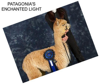 PATAGONIA\'S ENCHANTED LIGHT