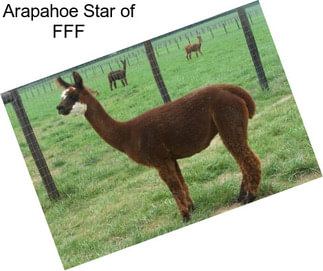 Arapahoe Star of FFF