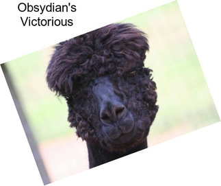 Obsydian\'s Victorious