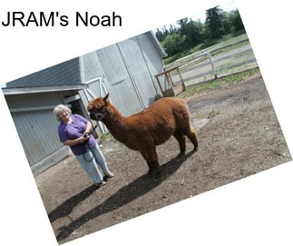 JRAM\'s Noah