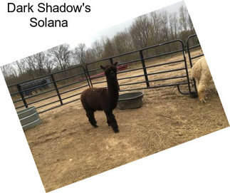 Dark Shadow\'s Solana