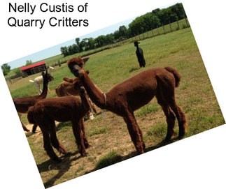 Nelly Custis of Quarry Critters