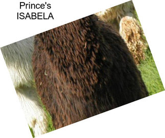 Prince\'s ISABELA