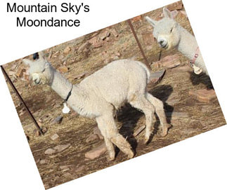 Mountain Sky\'s Moondance