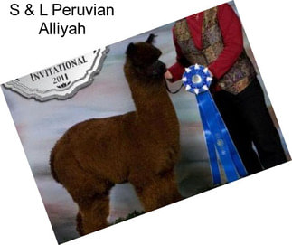 S & L Peruvian Alliyah