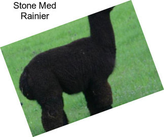 Stone Med Rainier