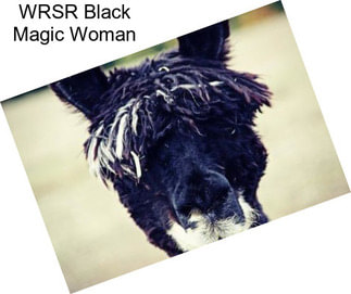 WRSR Black Magic Woman