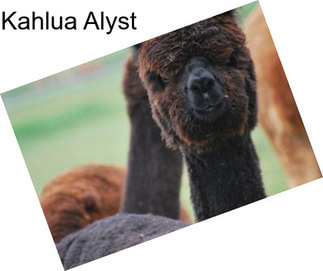 Kahlua Alyst