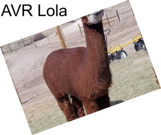 AVR Lola