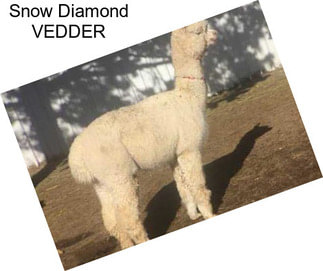 Snow Diamond VEDDER