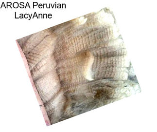 AROSA Peruvian LacyAnne