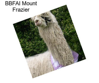 BBFAI Mount Frazier