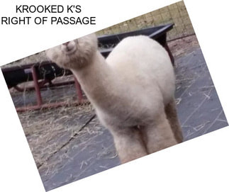 KROOKED K\'S RIGHT OF PASSAGE