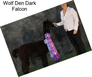 Wolf Den Dark Falcon